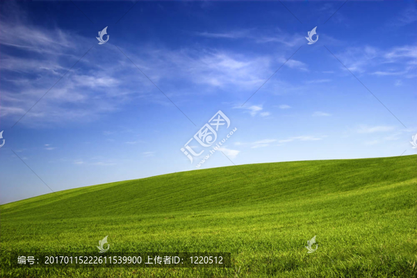 春天的田野