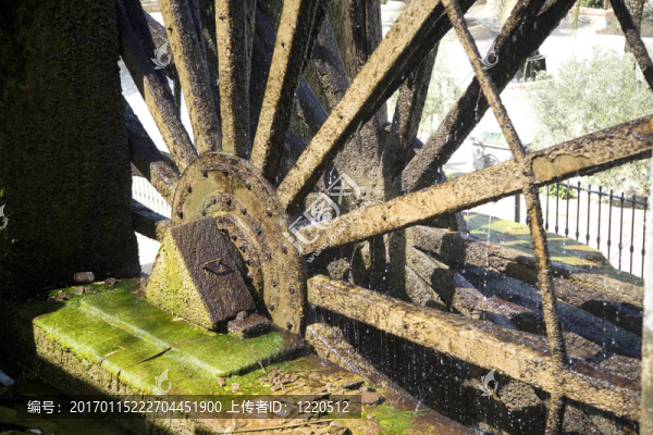 水戽水車的苔蘚