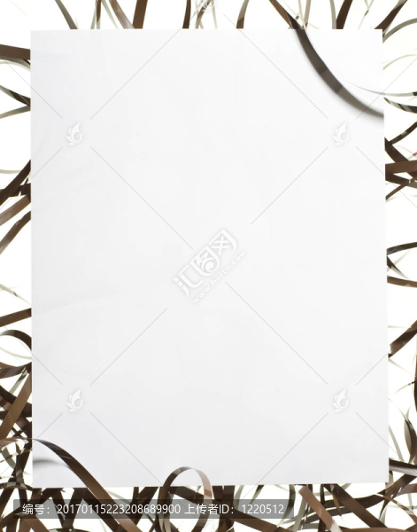 空白的畫(huà)布