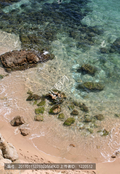 地中海