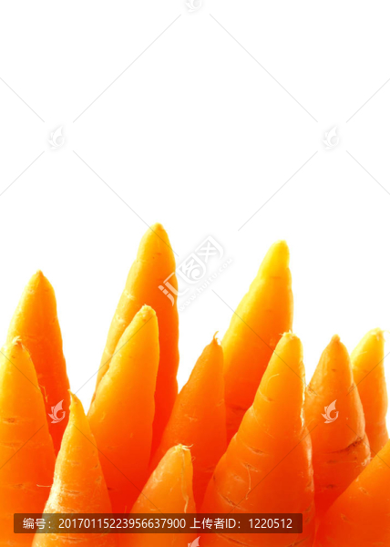 胡蘿卜