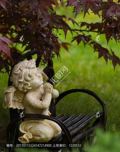下雨天的天使