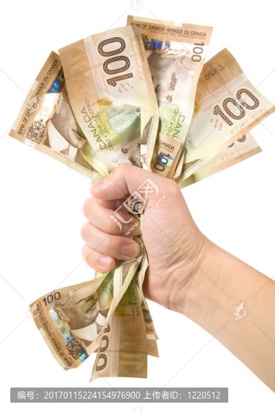 一只裝滿加元的手