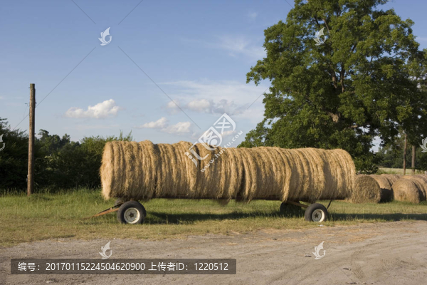 Hay,Bail預(yù)告片