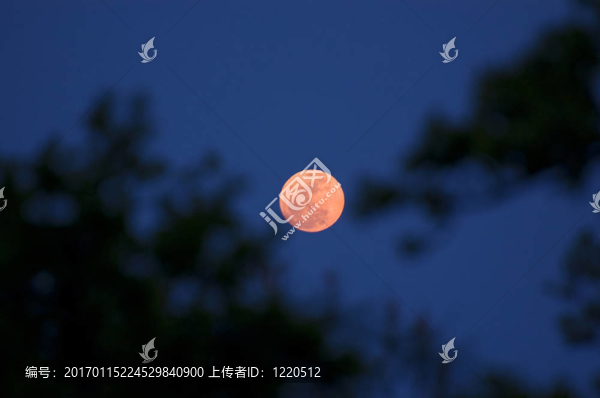 橙色的月亮