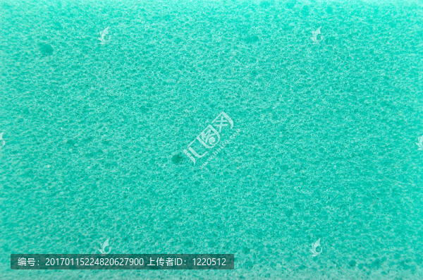 海綿