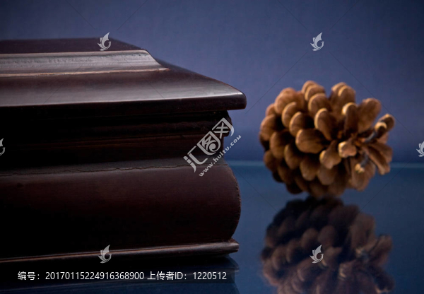 木制棺材，松果在藍(lán)色的片段