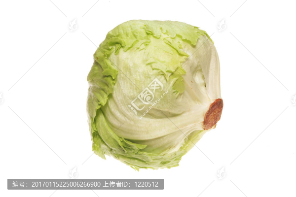 生菜