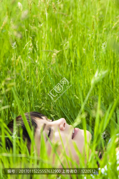 草地