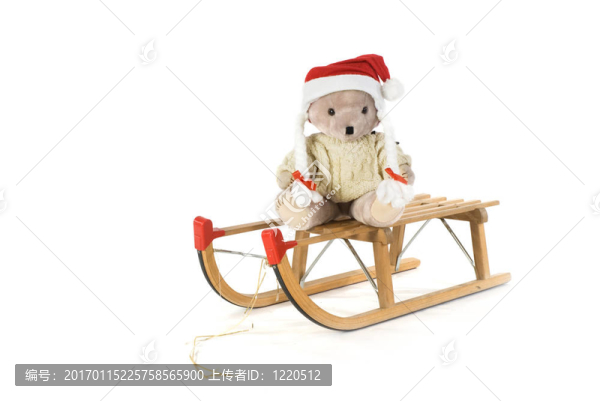 圣誕熊