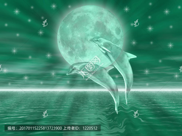海豚