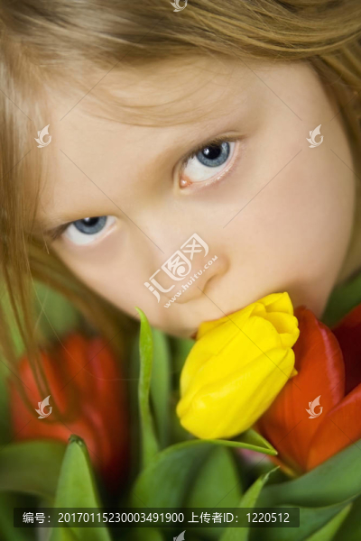 女孩，TULPs