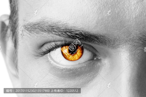 琥珀色人的眼睛