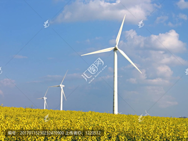 風(fēng)力渦輪機(jī)在強(qiáng)奸領(lǐng)域替代能源