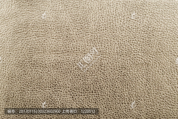 皮革紋理