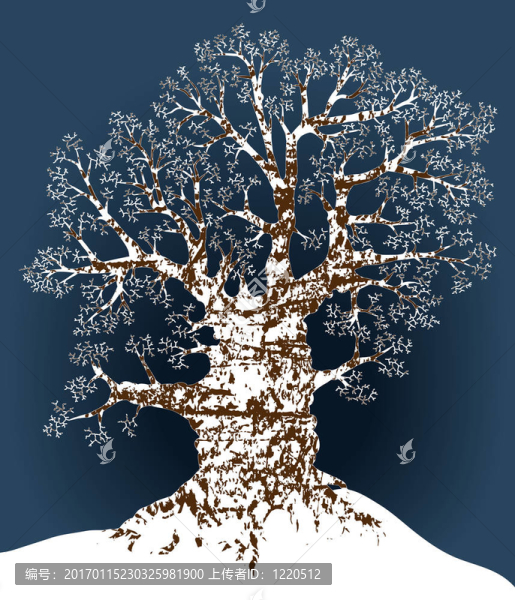 雪櫟