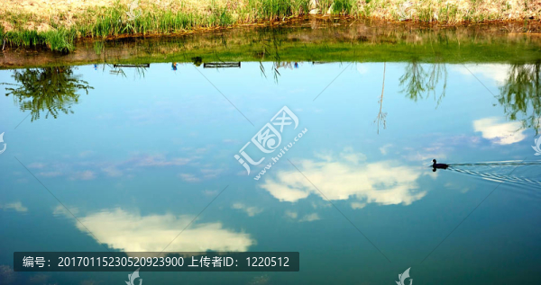 池塘和達(dá)克
