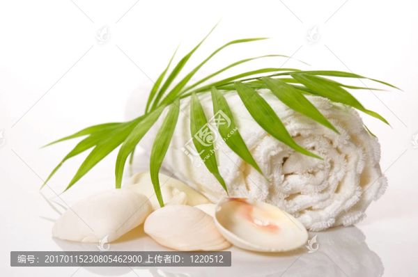 夏天洗澡的場(chǎng)景