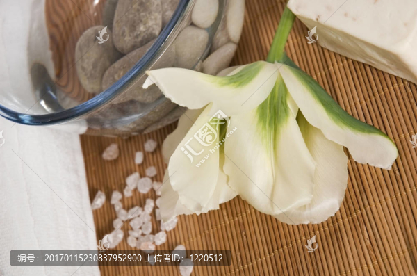welness產(chǎn)品