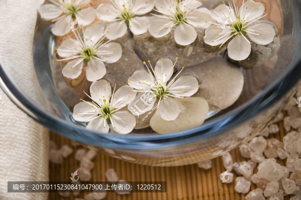 白色的健康產(chǎn)品