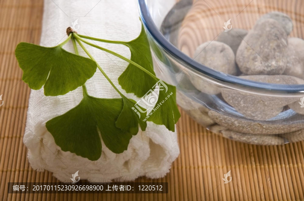 替代醫(yī)學(xué)。銀杏葉治療