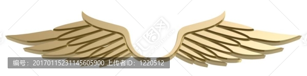 翼的象征