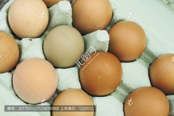 新鮮放養(yǎng)雞蛋