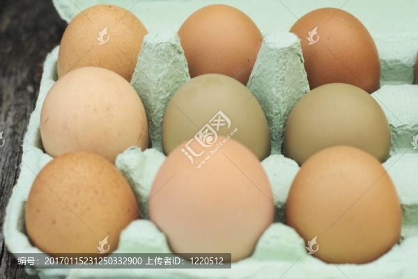 新鮮放養(yǎng)雞蛋
