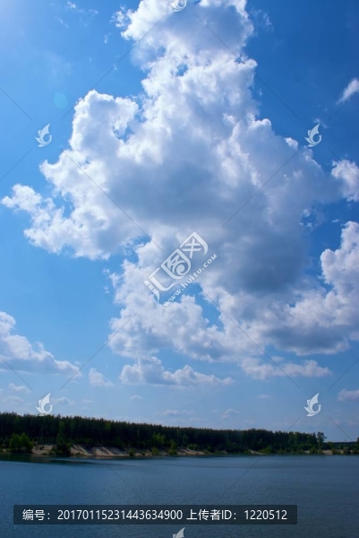 俄羅斯的樹木和天空