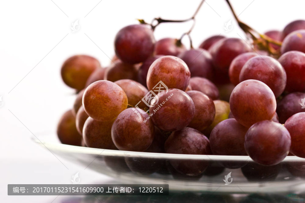 葡萄