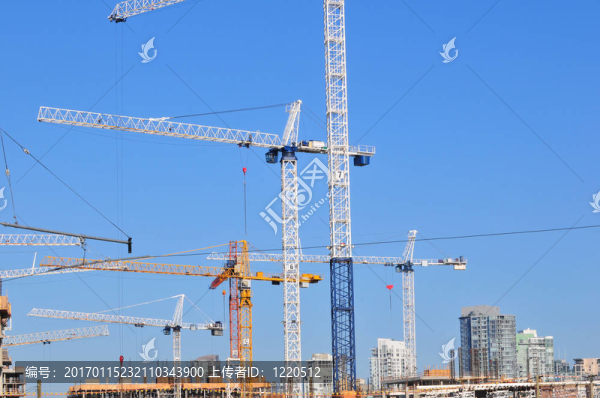 高鶴-匯圖網(wǎng) www.fosd68.com 高鶴