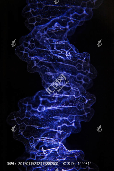 DNA的晶體結(jié)構(gòu)