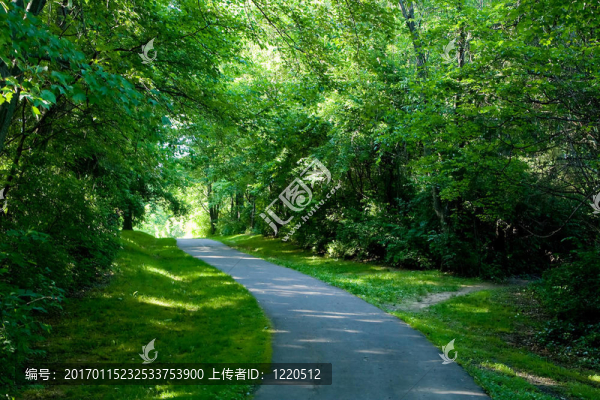 一個安靜的陰影運行