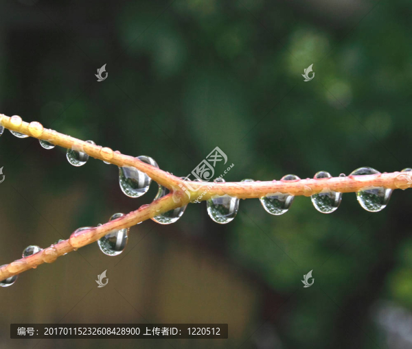 水滴