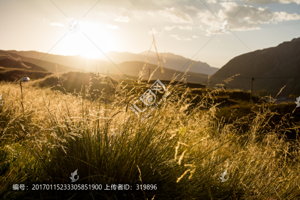夕陽