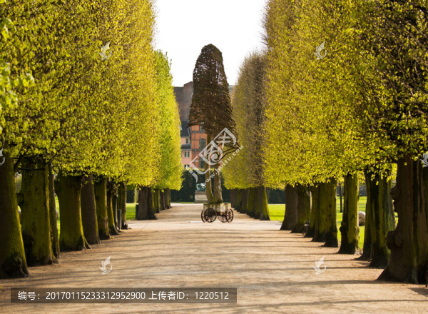 公園的小徑