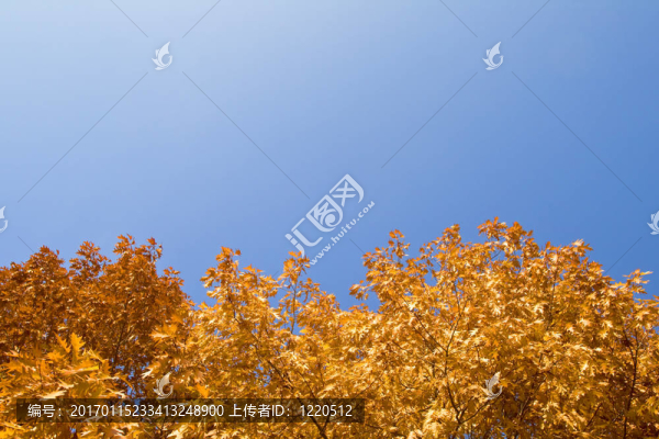 秋天的邊境