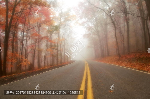 霧蒙蒙的早晨