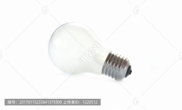 電燈泡