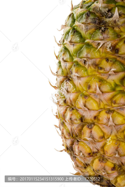 菠蘿