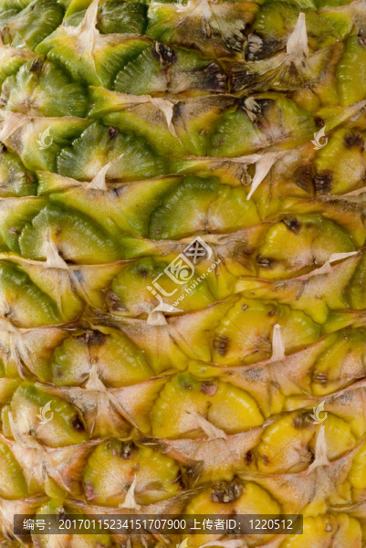 菠蘿