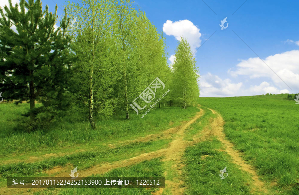 在兩條道路的交叉道路上。