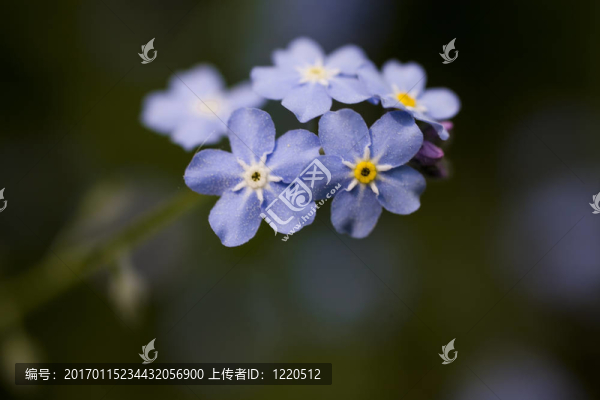 不要忘記我