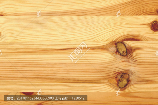 一塊松樹(shù)