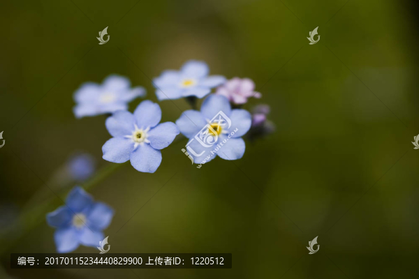 不要忘記我