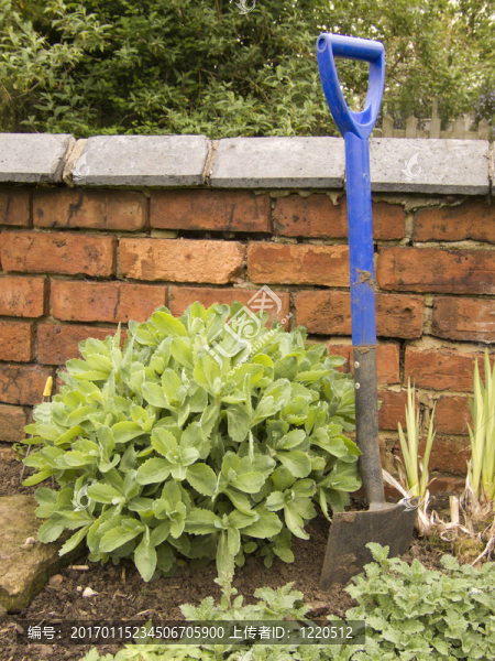 園藝鏟-匯圖網(wǎng) www.fosd68.com 園藝鏟