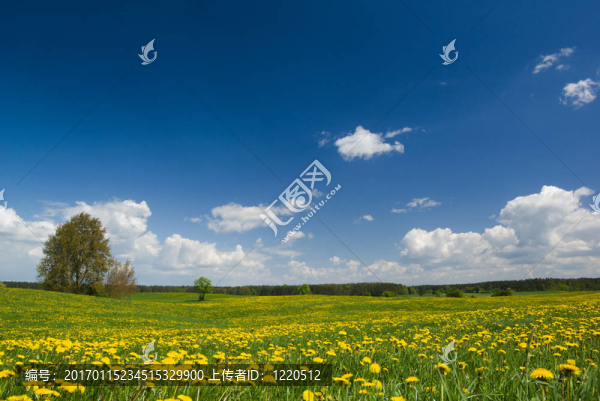 春天的風(fēng)景。