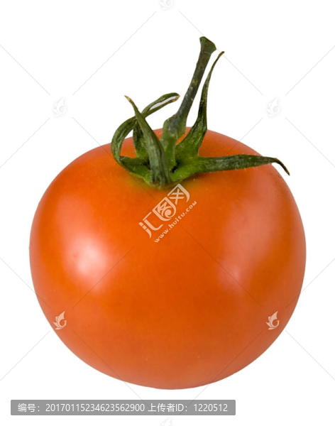tomato4