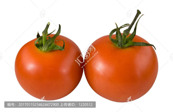 tomato5