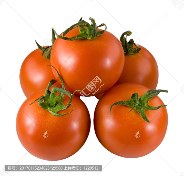 tomato8